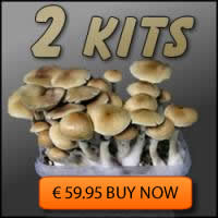Buy duo pack mushrooms